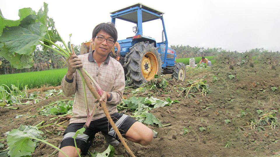 屏東歸來牛蒡-從6毫米種子到2公尺牛蒡 第一部曲 ( 屏東歸來就是蒡小隊2016-2017製作~)